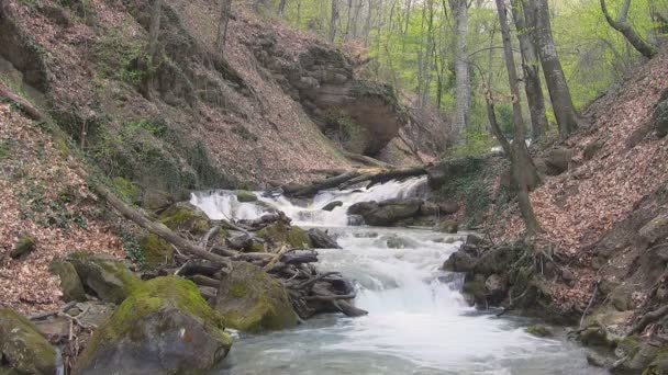 Beau ruisseau de montagne — Video