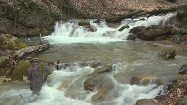 Bellissimo torrente di montagna — Video Stock