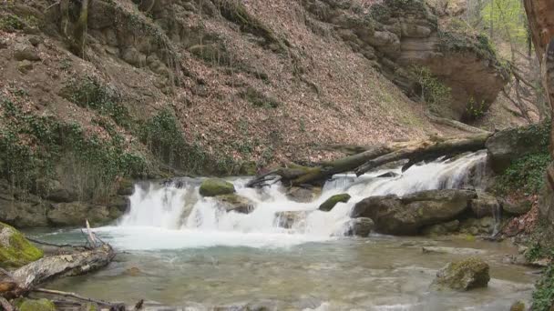 Hermoso arroyo — Vídeos de Stock