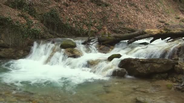 Hermoso arroyo — Vídeo de stock