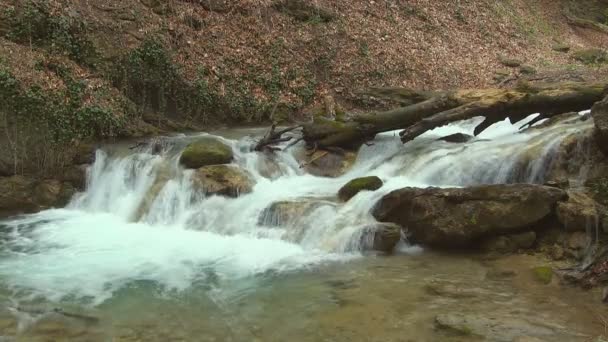 Hermoso arroyo — Vídeo de stock