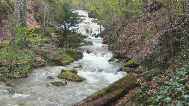 Hermoso arroyo — Vídeo de stock