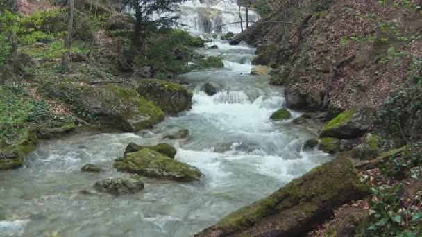 Hermoso arroyo — Vídeo de stock