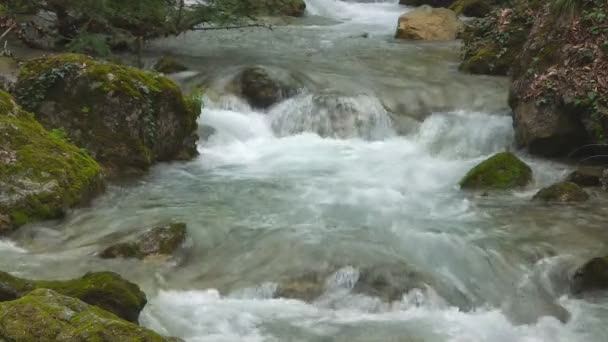 Hermoso arroyo — Vídeo de stock