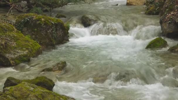 Bellissimo torrente di montagna — Video Stock