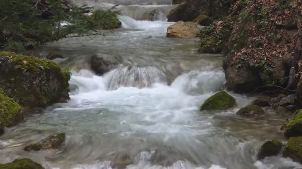 Belo fluxo de montanha — Vídeo de Stock