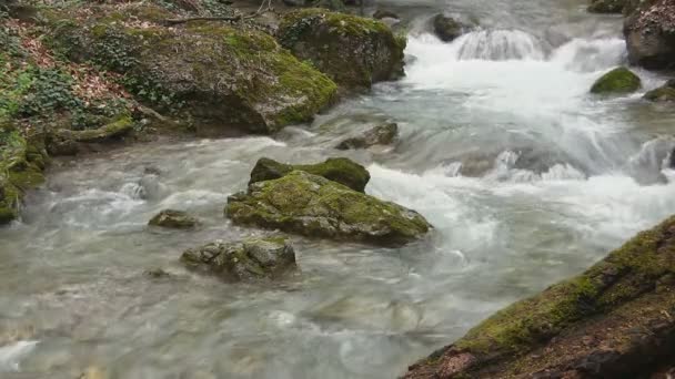 Hermoso arroyo — Vídeos de Stock