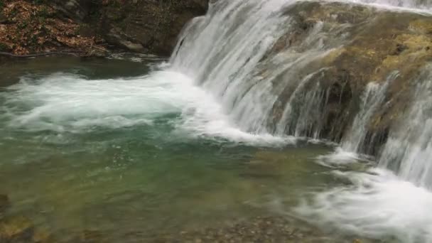 Bellissimo torrente di montagna — Video Stock