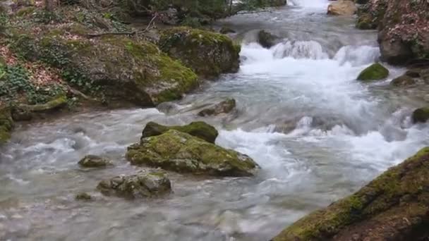 Gyönyörű hegyi patak — Stock videók