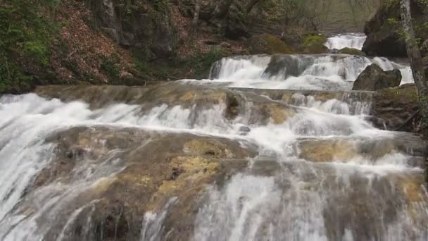 Gyönyörű hegyi patak — Stock videók