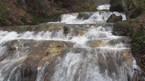 Bellissimo torrente di montagna — Video Stock