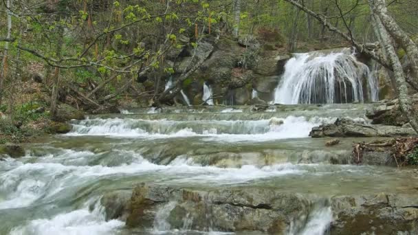 Gyönyörű hegyi patak — Stock videók