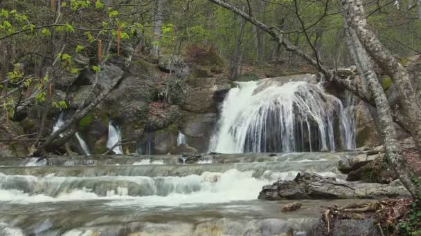 Bellissimo torrente di montagna — Video Stock