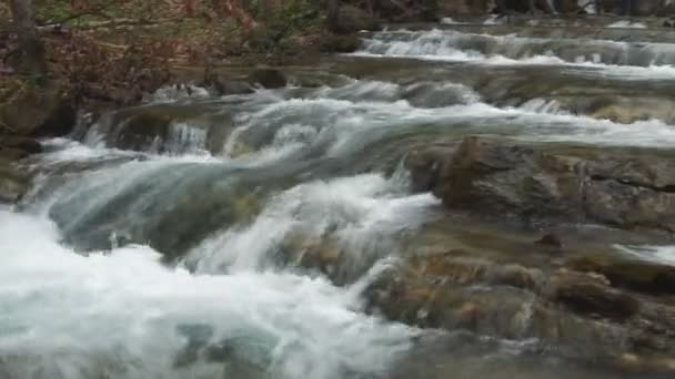 Beau ruisseau de montagne — Video