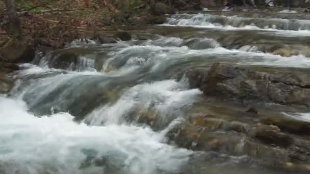 Beautiful mountain stream — Stock Video