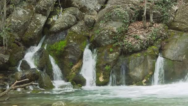 Hermoso arroyo — Vídeo de stock