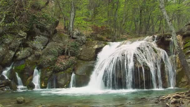 Beau ruisseau de montagne — Video