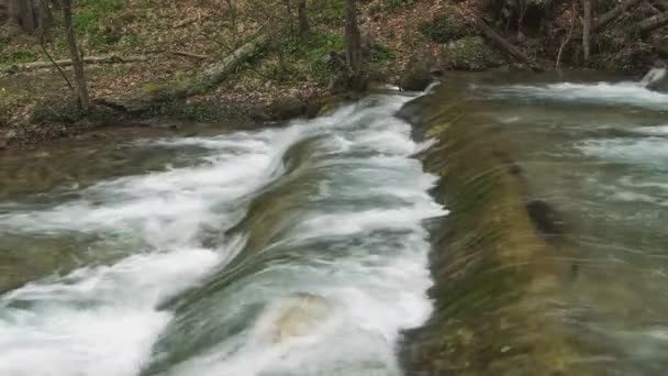 Hermoso arroyo — Vídeos de Stock