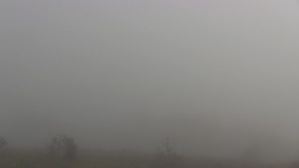 Tempi di nebbia in movimento in montagna — Video Stock