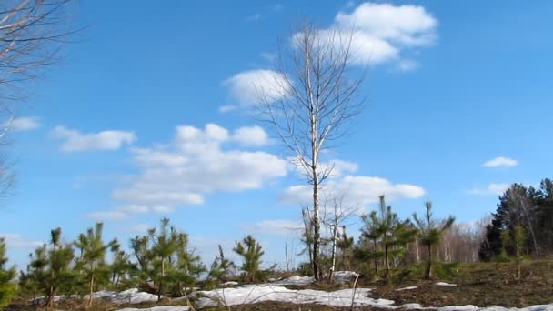 Paysage nuageux Timelapse 
