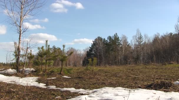 Zeitraffer im Wolkenbild — Stockvideo