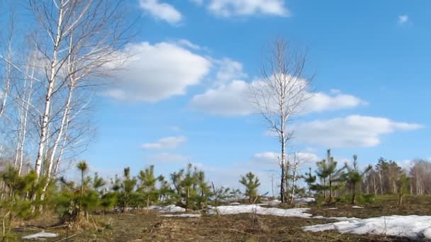 Paysage nuageux Timelapse 