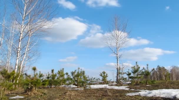 Cloudscape timelapse — Wideo stockowe