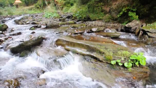 Belo fluxo de montanha — Vídeo de Stock