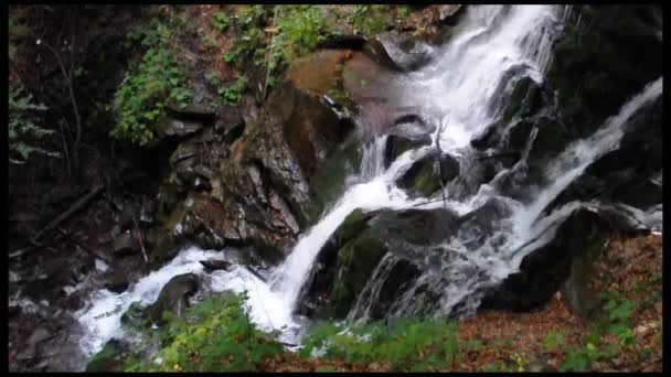 Hermoso arroyo — Vídeos de Stock