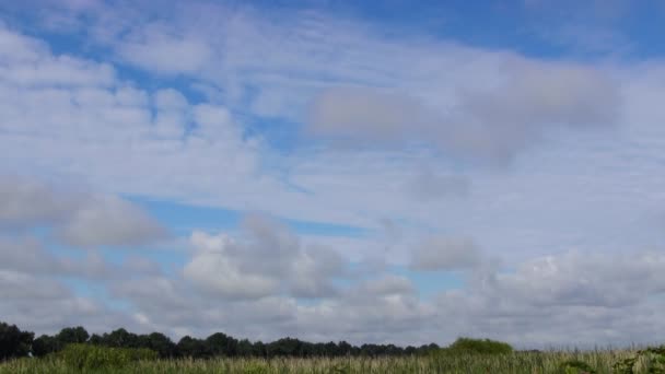 Zeitraffer im Wolkenbild — Stockvideo