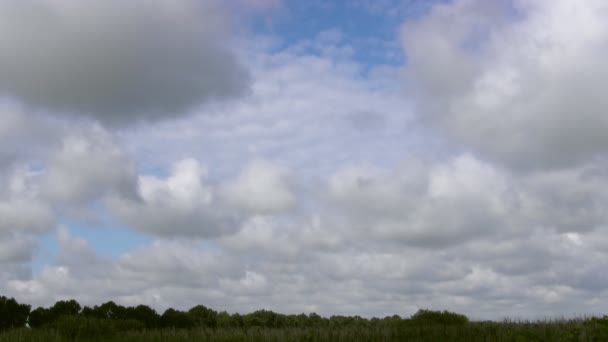 Zeitraffer im Wolkenbild — Stockvideo