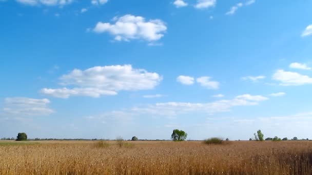 Zeitraffer im Wolkenbild — Stockvideo