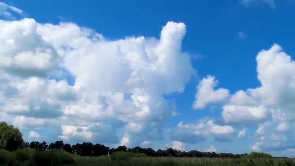 Cloudscape timelapse — Wideo stockowe