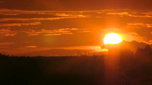 Puesta de sol — Vídeo de stock