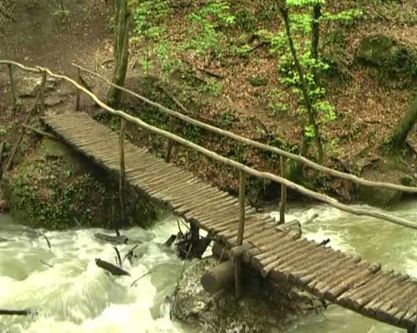 Beautiful mountain stream — Stock Video