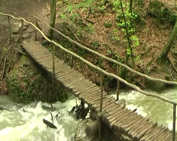 Beautiful mountain stream — Stock Video