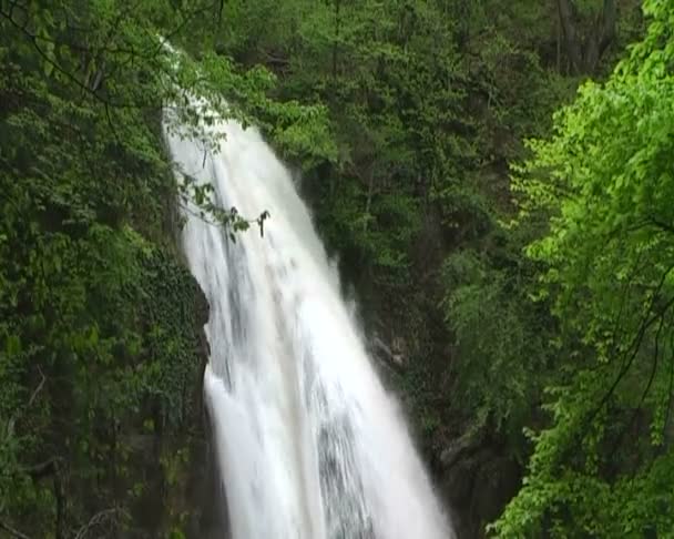 Belo fluxo de montanha — Vídeo de Stock