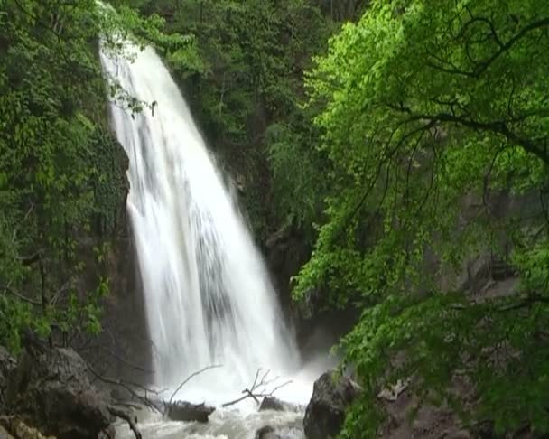 Beautiful mountain stream — Stock Video