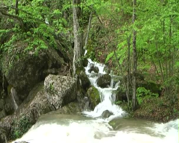 Beautiful mountain stream — Stock Video