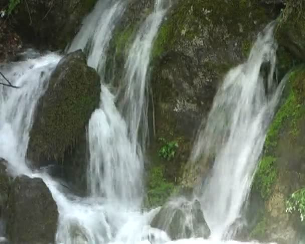 Bellissimo torrente di montagna — Video Stock