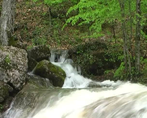 Beau ruisseau de montagne 