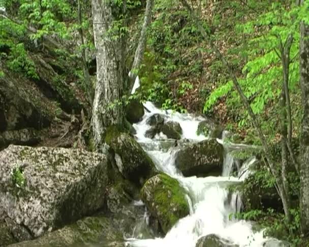 Beautiful mountain stream — Stock Video