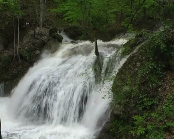 Beau ruisseau de montagne — Video