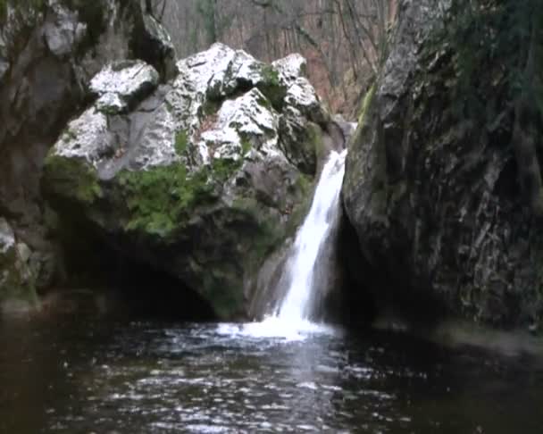 Hermoso arroyo — Vídeo de stock