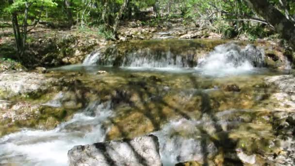 Hermoso arroyo — Vídeos de Stock