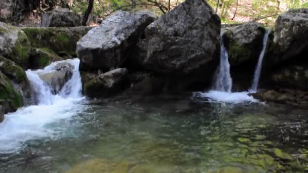 Hermoso arroyo — Vídeos de Stock