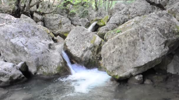 Belo fluxo de montanha — Vídeo de Stock