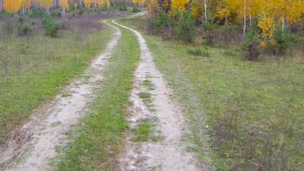 Conducir un coche por el campo — Vídeos de Stock