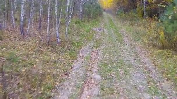 Besturen van een auto via het platteland — Stockvideo