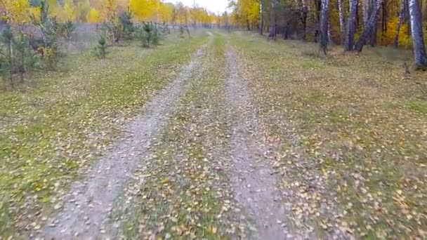 Besturen van een auto via het platteland — Stockvideo